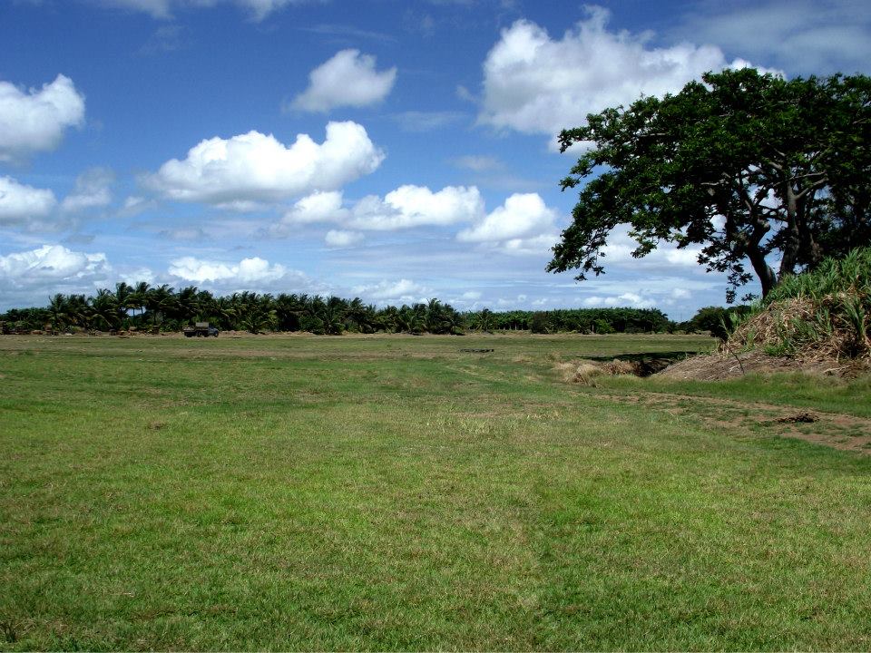 Venta de grama y topsoil (cesped)