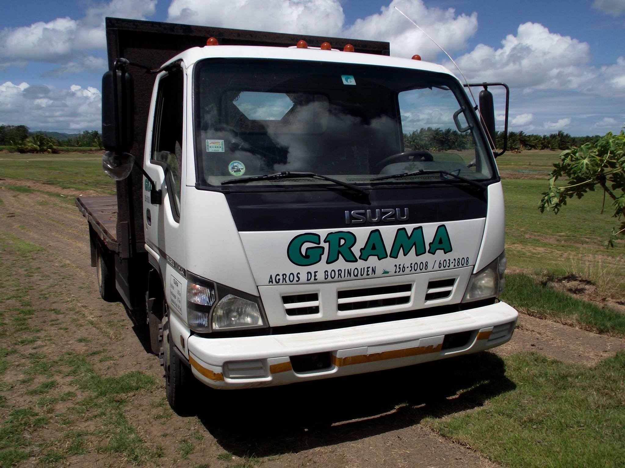 Venta de grama y topsoil (camion de reparto)