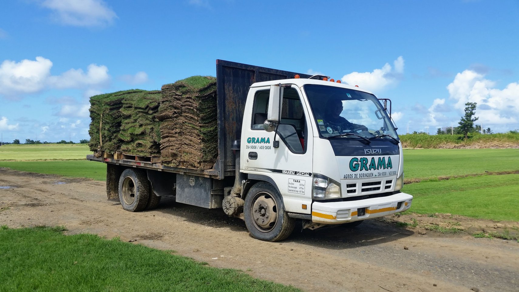 Venta de grama y topsoil (camion de reparto)
