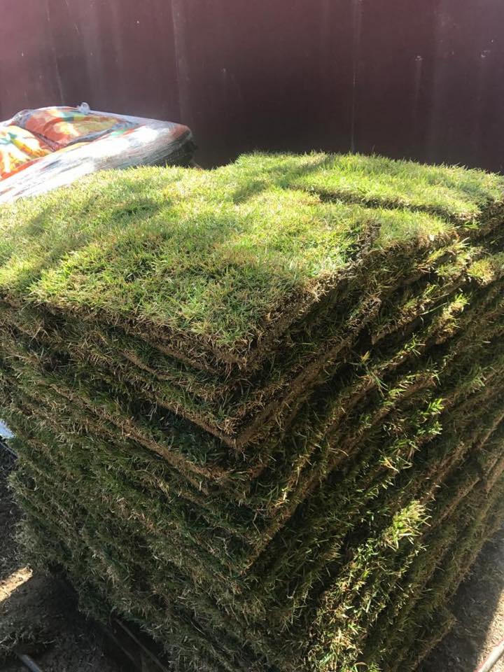 Venta de grama y topsoil (grama)