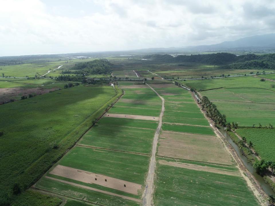 Venta de grama y topsoil (valle)