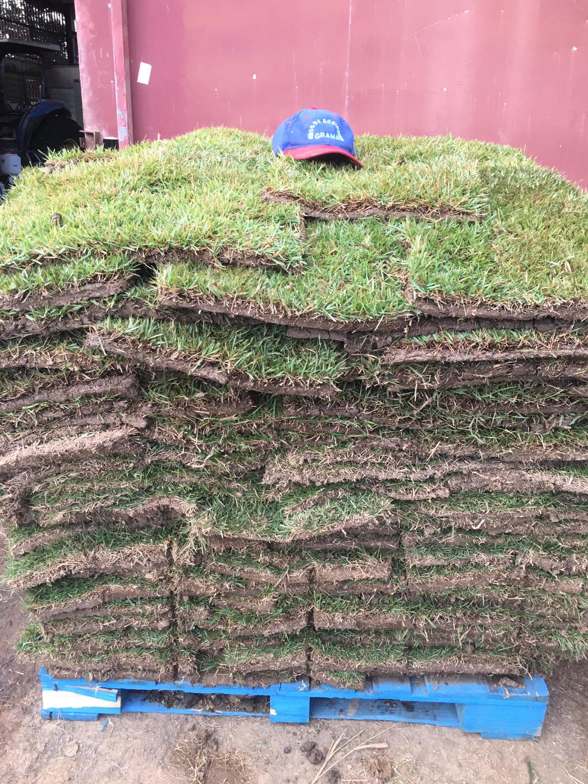 Venta de grama y topsoil (grama)
