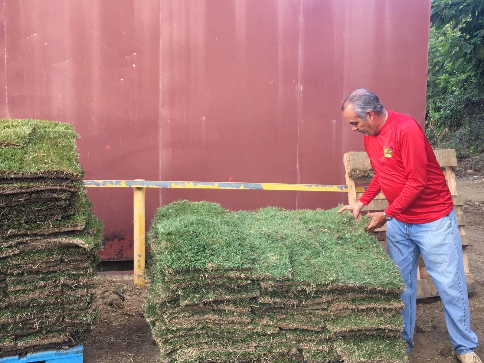 Venta de grama y topsoil (grama)